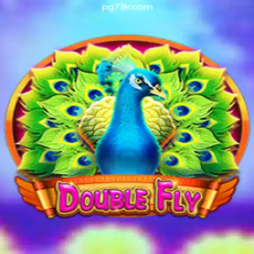 Exploring DoubleFly: An Unforgettable Experience on 78R.COM